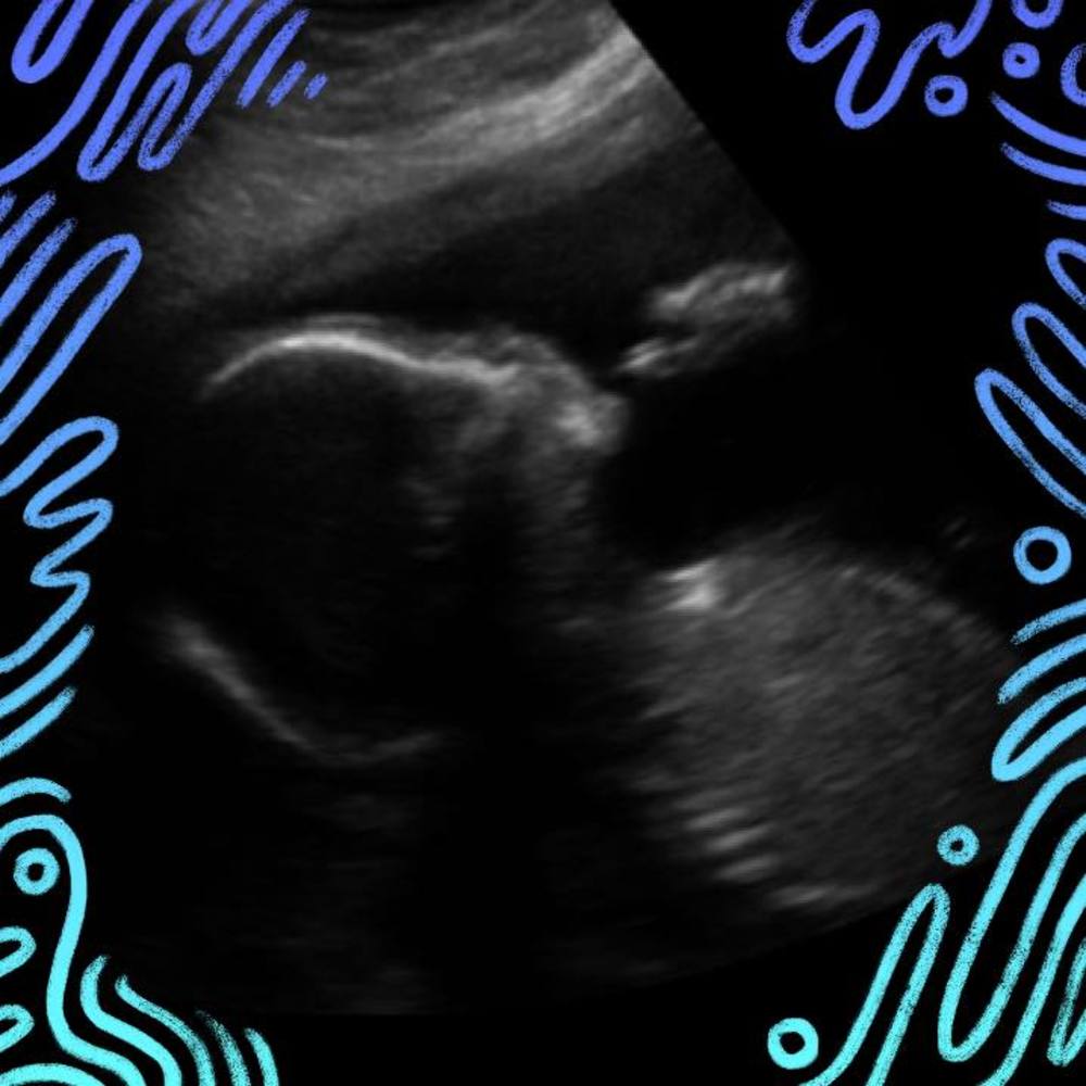 Meet your Posher, Ariane